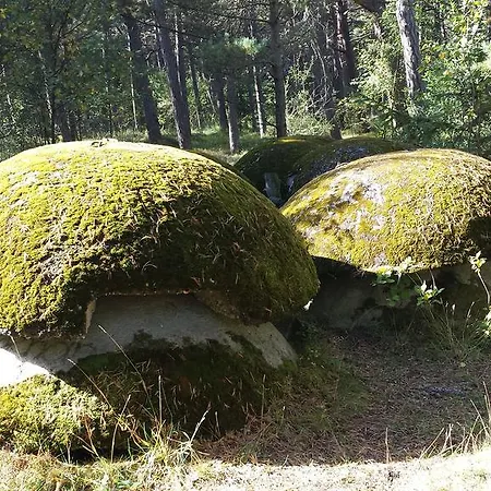 Kompleks wypoczynkowy Letniskowe Solaris *