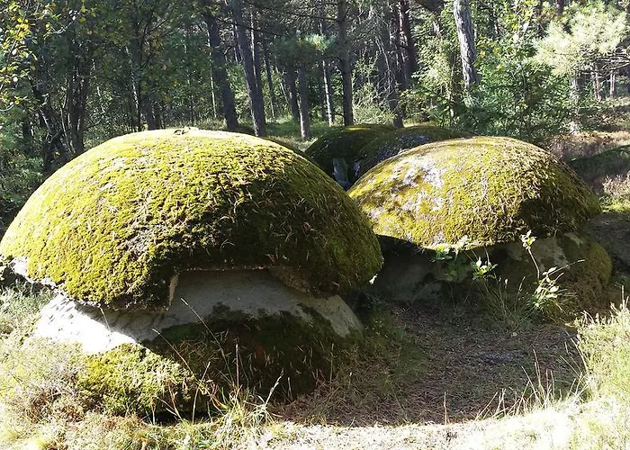 Πάρκο διακοπών Letniskowe Solaris *